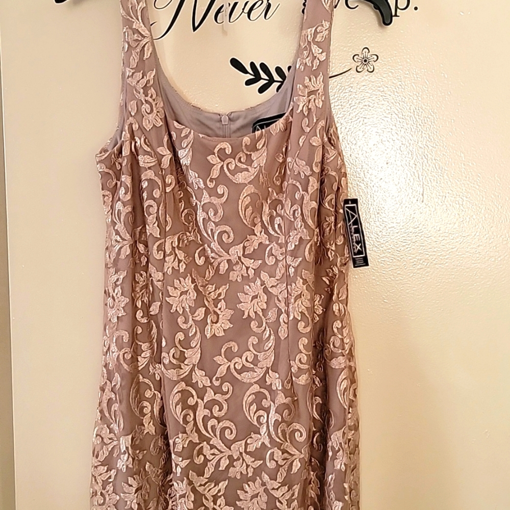 Alex Evenings Dress Champagne Size 10